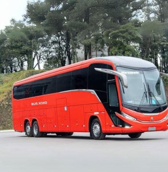 Top Safety Features to Consider When Booking a Charter Bus Rental in Nebraska