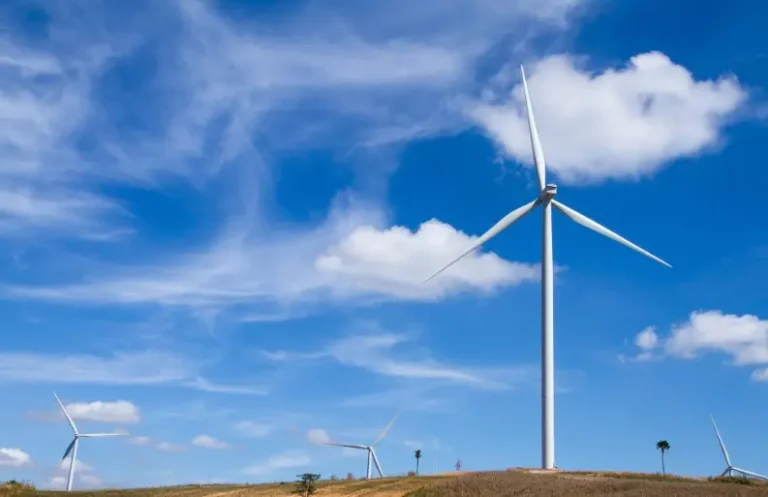 Are Cheap Energy Plans Always a Good Choice?